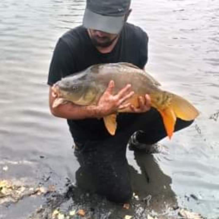 Profil de Toufique